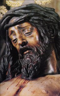 josecofrade
