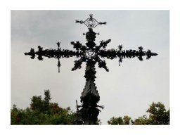 Omnia in Bonum