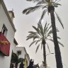 Santa Rufina
